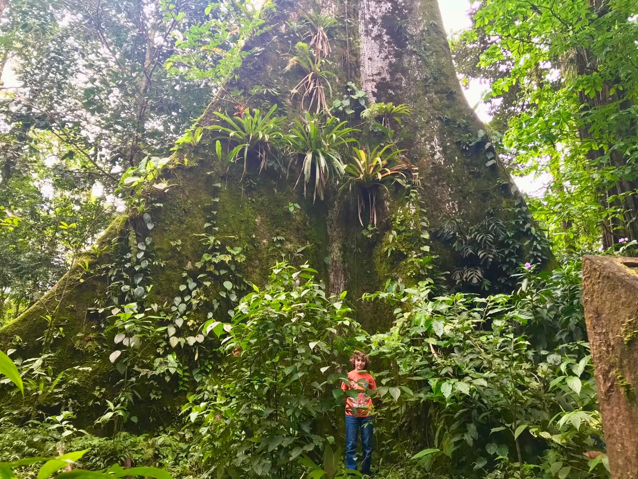 Land adventures at Villa Preciosa