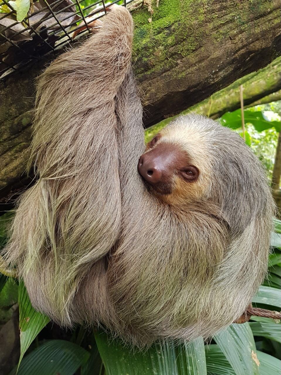 Wildlife Tours