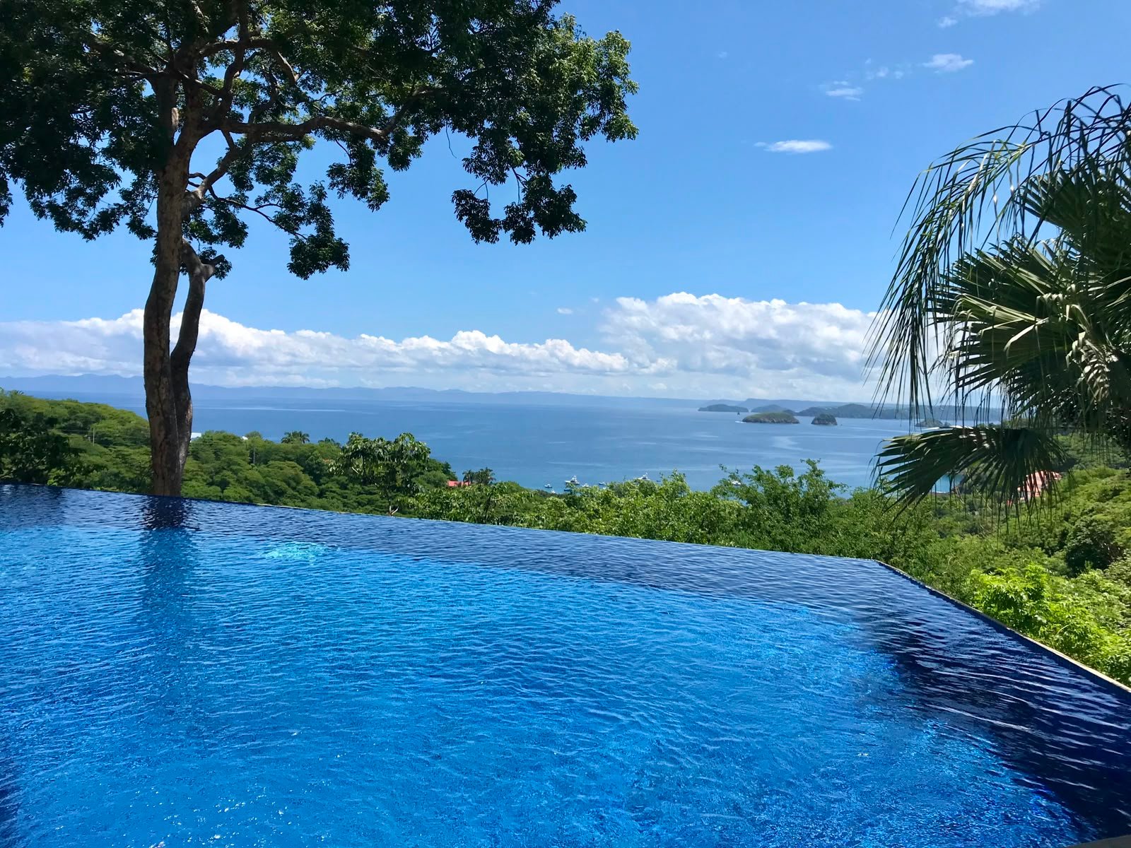 Pool view